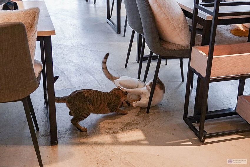 DSC07781.jpg DSC07781.jpg