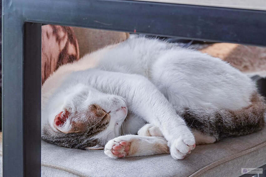 DSC07943.jpg DSC07943.jpg