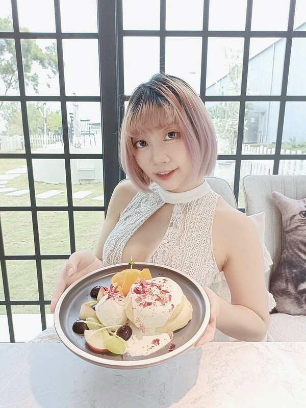 網美必去桃園景觀餐廳推薦 貓禾咖啡廳/親子咖啡廳/寵物友善空間 有療癒貓咪跟好拍照的空間!! 還有超好吃的美食!! 真的是私藏名單拉~~