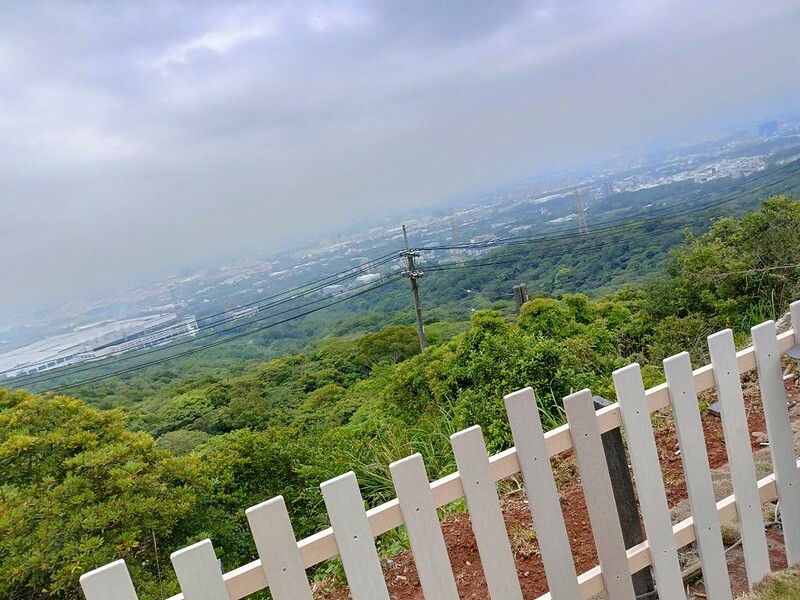 網美必去桃園景觀餐廳推薦 貓禾咖啡廳/親子咖啡廳/寵物友善空間 有療癒貓咪跟好拍照的空間!! 還有超好吃的美食!! 真的是私藏名單拉~~