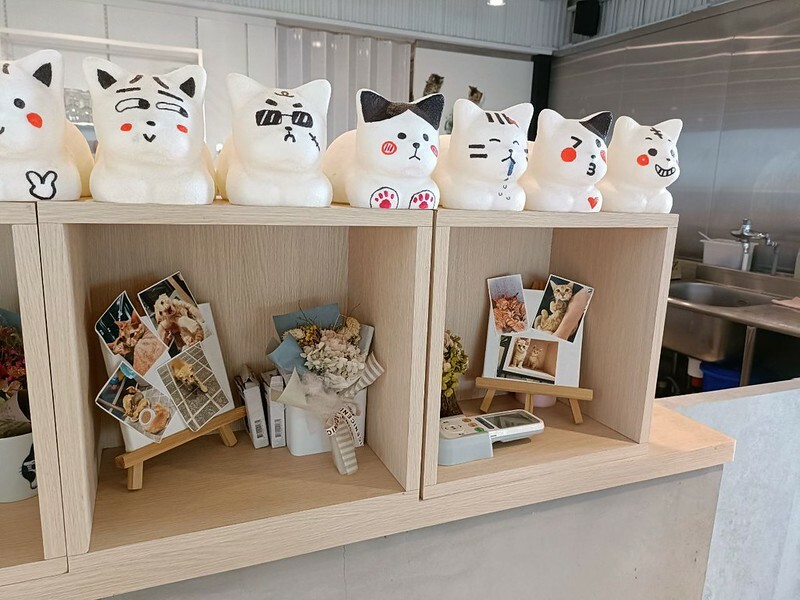 網美必去桃園景觀餐廳推薦 貓禾咖啡廳/親子咖啡廳/寵物友善空間 有療癒貓咪跟好拍照的空間!! 還有超好吃的美食!! 真的是私藏名單拉~~