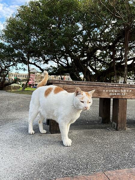 宜蘭縣頭城鎮【宜蘭。頭城】宜蘭必吃的千層蛋糕 & 一點都不無聊的頭城．Tjuku cafe 啾咕咖啡 & 頭城老街