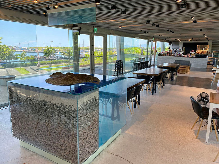 Tjuku cafe 啾咕咖啡_座位區_113202.JPG