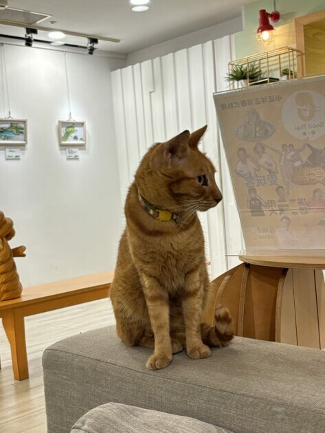 屏東小琉球|朵小路民宿 讓人感覺身在國外的北歐風格 | Beauty Update