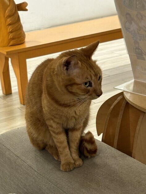 屏東小琉球|朵小路民宿 讓人感覺身在國外的北歐風格 | Beauty Update