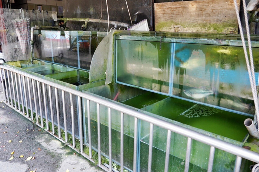 虎頭山土雞城｜2024玻璃屋土雞城！佔地近2000坪！海鮮芋頭米粉鍋超大盆 @艾瑪  吃喝玩樂札記