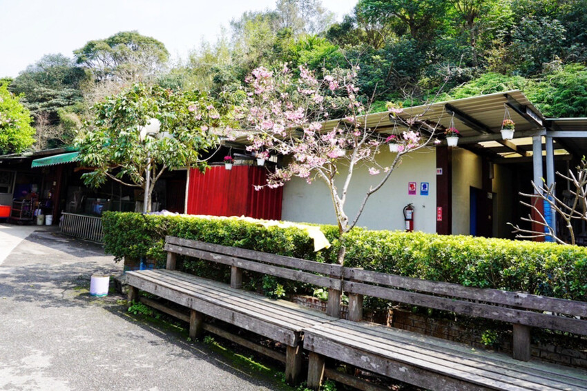 虎頭山土雞城｜2024玻璃屋土雞城！佔地近2000坪！海鮮芋頭米粉鍋超大盆 @艾瑪  吃喝玩樂札記