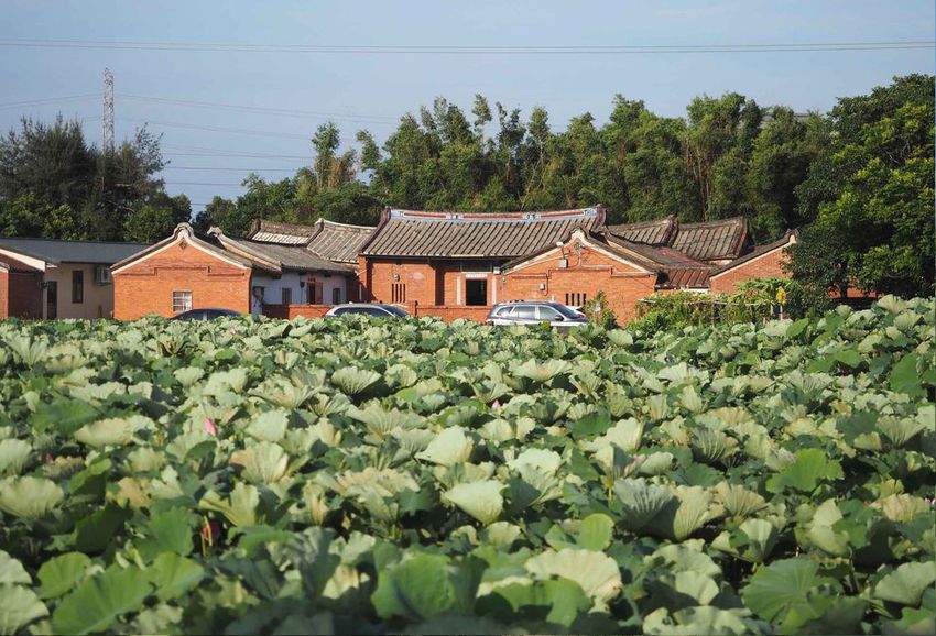 水蓮之鄉32.jpg