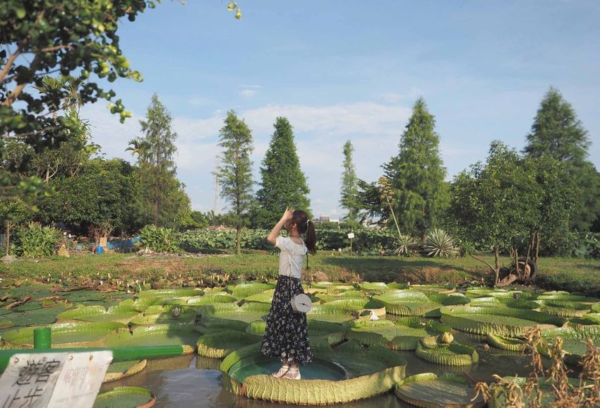 水蓮之鄉018.jpg