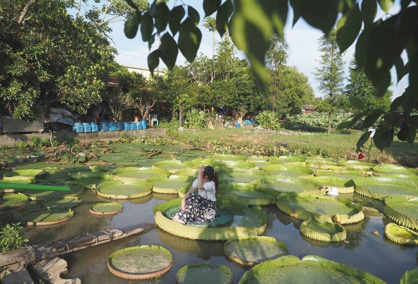 水蓮之鄉026.jpg