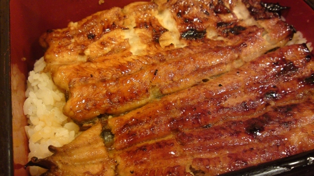 肥前屋：一口接一口的鰻魚飯