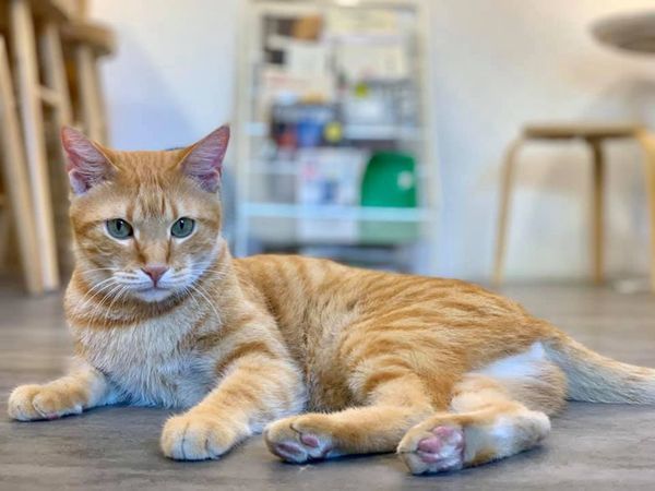 103522226_3349368941748145_1792207750177133157_n (1)_副本.jpg