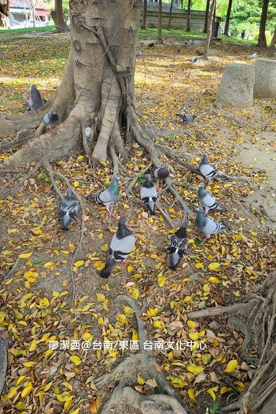 【台南/東區】台南文化中心