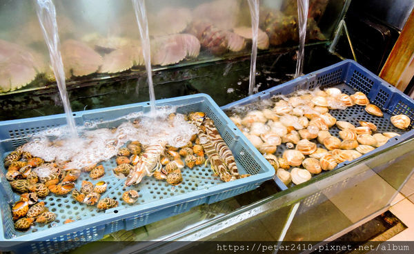 和平島35活海產 (27).jpg
