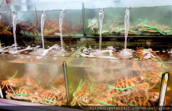 和平島35活海產 (26).jpg