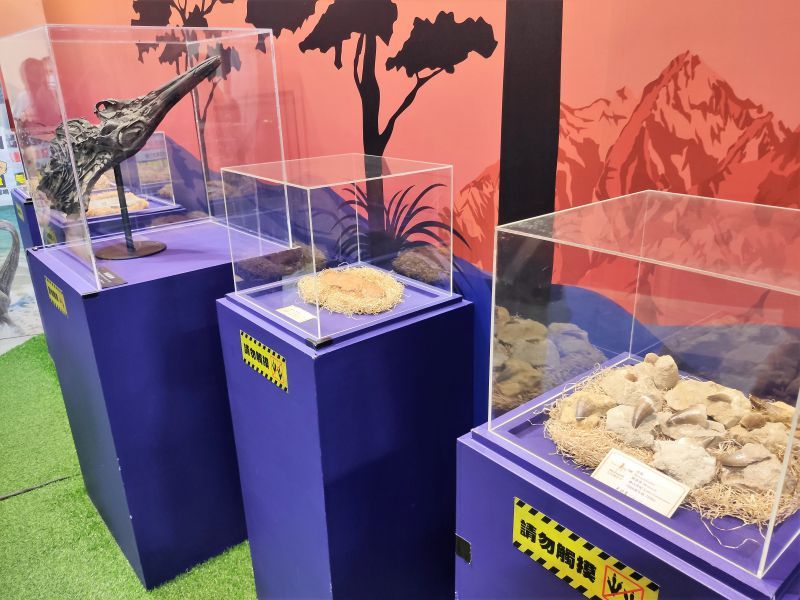 侏羅紀恐龍水世界 化石展