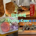 信義區寵物友善餐廳,主人吃美味的火鍋,毛小孩也有免費吃到飽的現煮雞肉?!丹尼的吃喝玩樂!