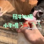 信義區寵物友善餐廳,主人吃美味的火鍋,毛小孩也有免費吃到飽的現煮雞肉?!丹尼的吃喝玩樂!