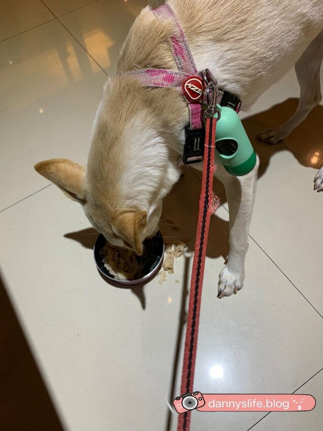 信義區寵物友善餐廳,主人吃美味的火鍋,毛小孩也有免費吃到飽的現煮雞肉?!丹尼的吃喝玩樂!