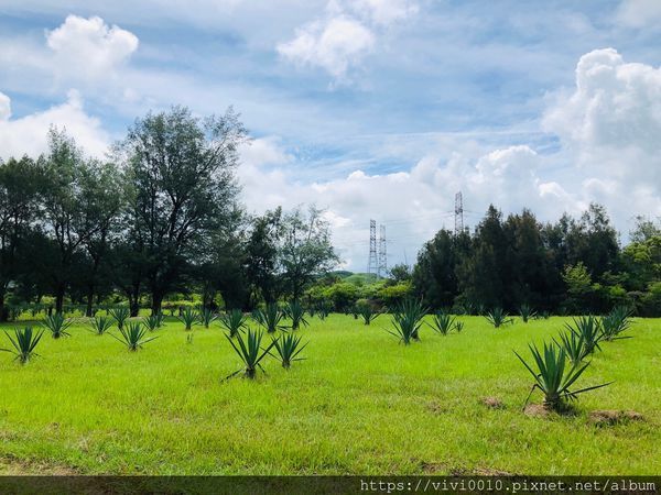 瓊麻歷史博物館_200715_74.jpg 瓊麻歷史博物館_200715_74.jpg