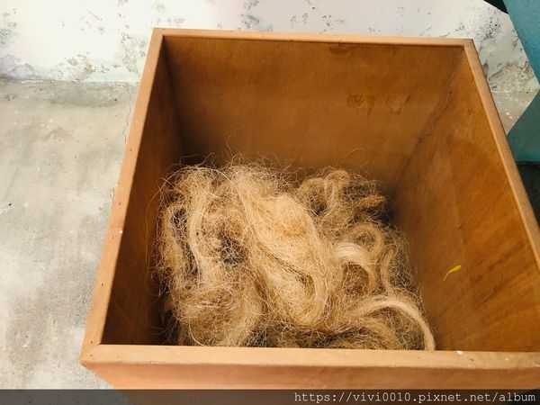 瓊麻歷史博物館_200715_41.jpg 瓊麻歷史博物館_200715_41.jpg