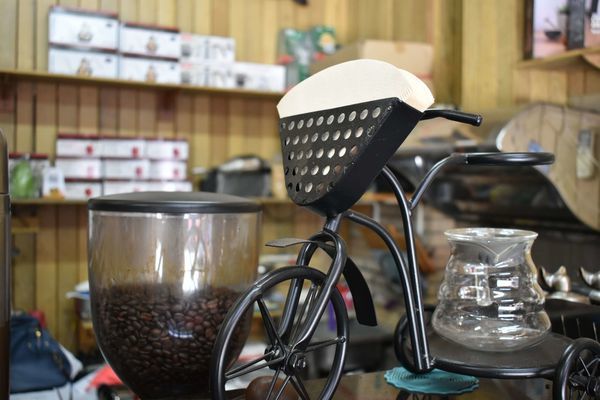 DSC_0221.JPG DSC_0221.JPG