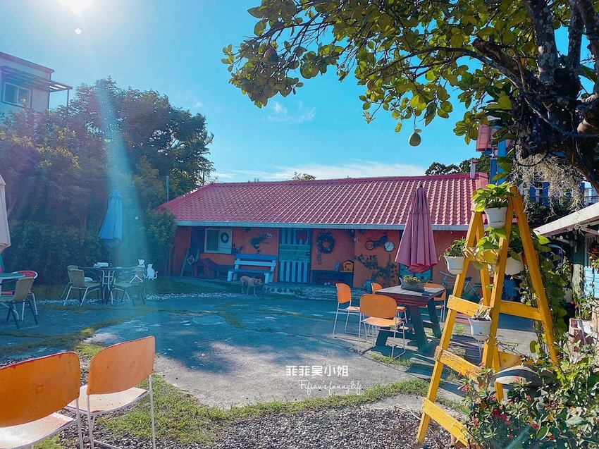 宜蘭三星 貓天空鄉村寵物民宿