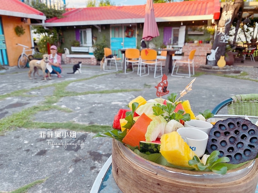 宜蘭三星 貓天空鄉村寵物民宿