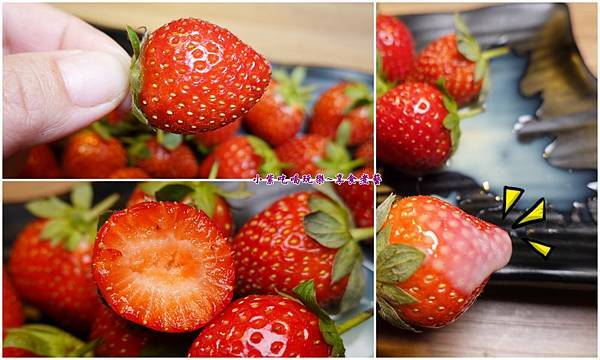 草莓吃到飽-赤富士草莓季 (1).jpg