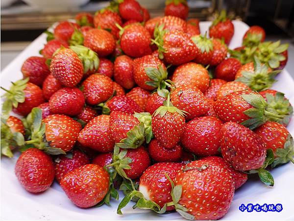 草莓吃到飽-赤富士草莓季 (3).jpg