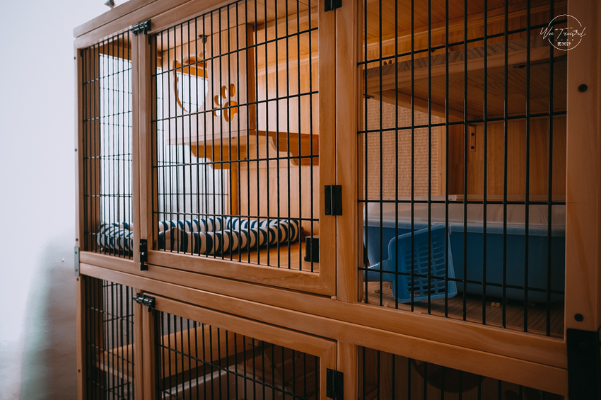 松江南京站隱弄宅咖啡店,隱藏巷弄內120年百年老屋咖啡廳裡延續愛貓的故事,踏尋小島甜點