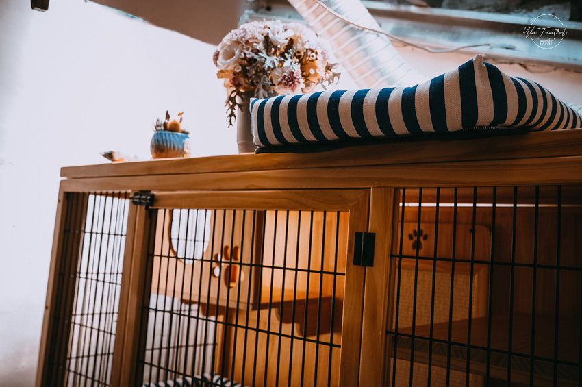 松江南京站隱弄宅咖啡店,隱藏巷弄內120年百年老屋咖啡廳裡延續愛貓的故事,踏尋小島甜點