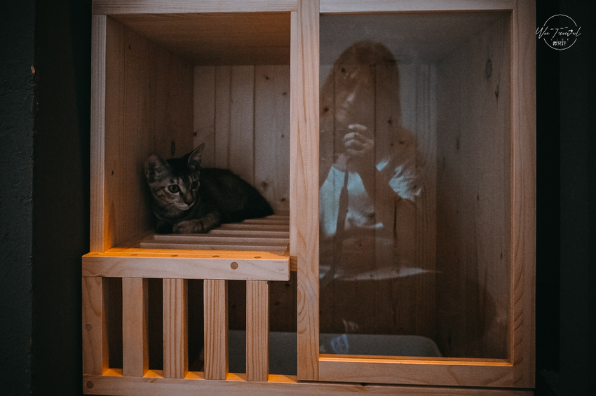 松江南京站隱弄宅咖啡店,隱藏巷弄內120年百年老屋咖啡廳裡延續愛貓的故事,踏尋小島甜點