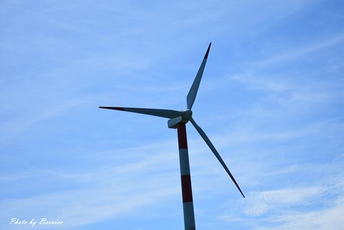 0627 4-風車公園10.jpg