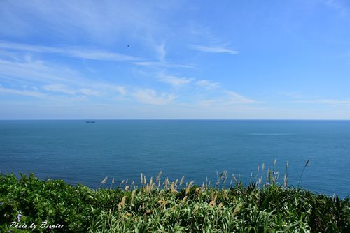 0627 4-風車公園07.jpg