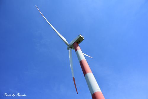 0627 4-風車公園09.jpg