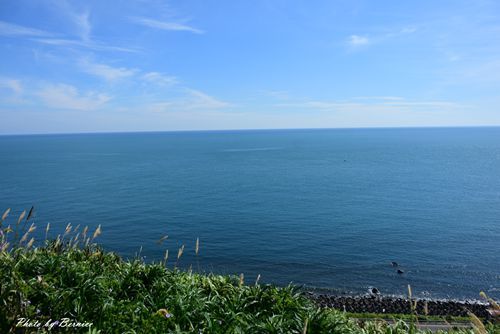 0627 4-風車公園05.jpg