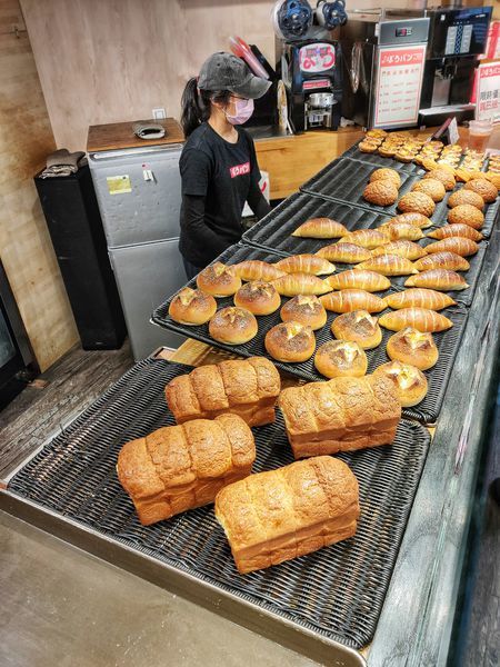 IMG20200314113042-01