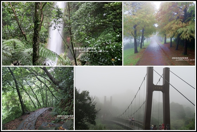 冷水坑絹絲瀑布51