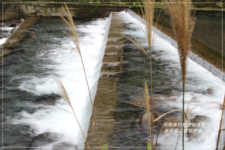烏來福山古圳步道11.JPG