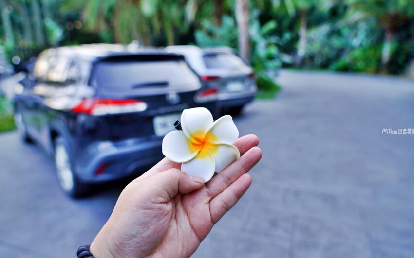 南投縣埔里鎮｜The Bal’e Villas 牛眠 埔里｜峇里島風格的沈浸式度假Villa