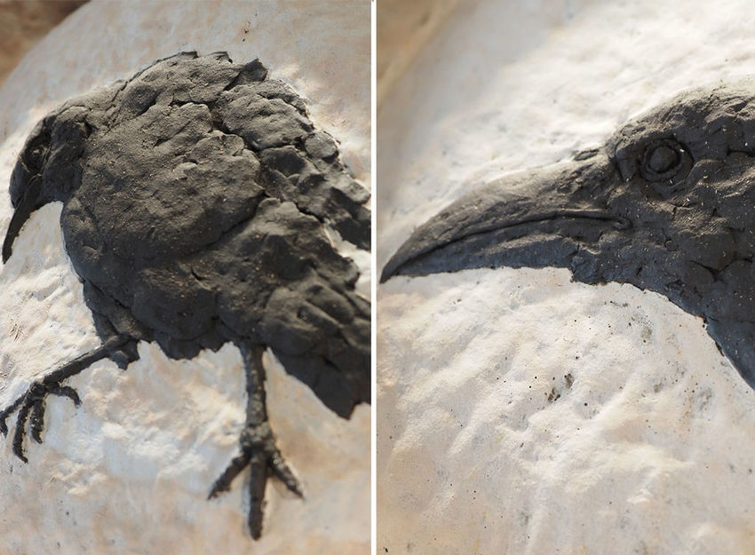 輕綠舍青埔美食桃園高鐵咖啡廳xpark