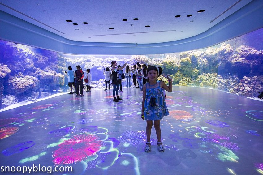 【桃園親子景點】Xpark水族館～現場購票、門票預購｜交通資訊，日本橫濱八景島水族館台來打造台灣首座新都會型水生公園、企鵝咖啡廳
