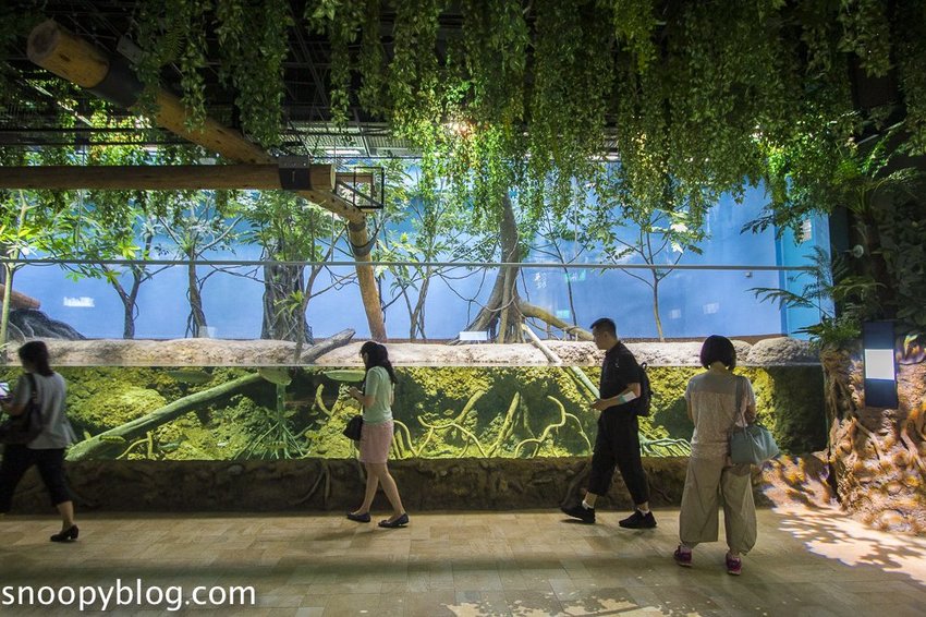 【桃園親子景點】Xpark水族館～現場購票、門票預購｜交通資訊，日本橫濱八景島水族館台來打造台灣首座新都會型水生公園、企鵝咖啡廳