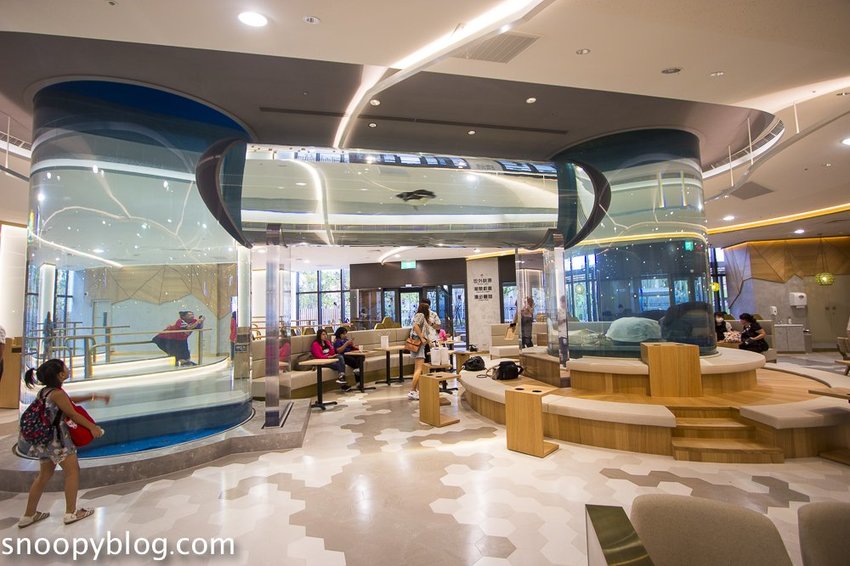 【桃園親子景點】Xpark水族館～現場購票、門票預購｜交通資訊，日本橫濱八景島水族館台來打造台灣首座新都會型水生公園、企鵝咖啡廳