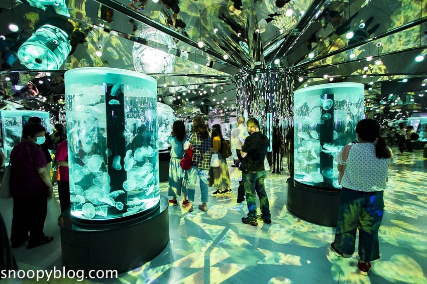 【桃園親子景點】Xpark水族館～現場購票、門票預購｜交通資訊，日本橫濱八景島水族館台來打造台灣首座新都會型水生公園、企鵝咖啡廳