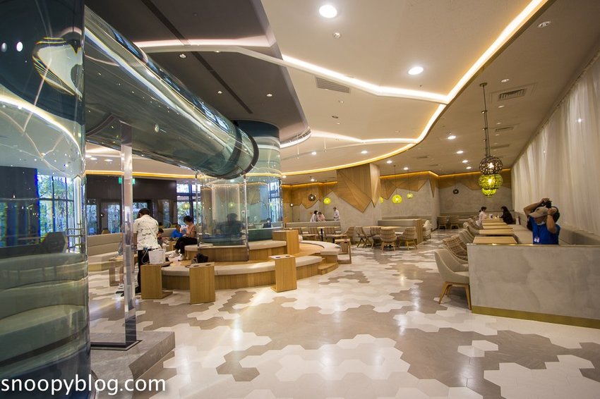 【桃園親子景點】Xpark水族館～現場購票、門票預購｜交通資訊，日本橫濱八景島水族館台來打造台灣首座新都會型水生公園、企鵝咖啡廳