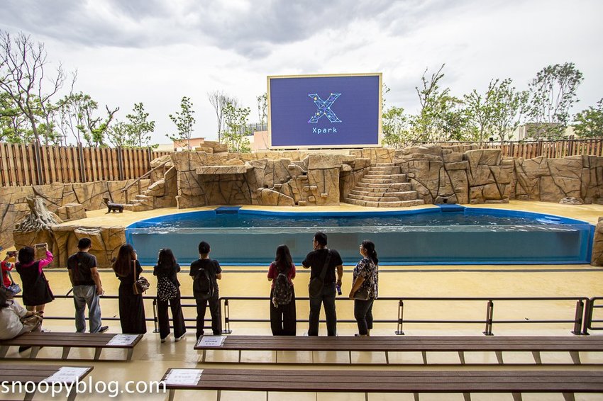 【桃園親子景點】Xpark水族館～現場購票、門票預購｜交通資訊，日本橫濱八景島水族館台來打造台灣首座新都會型水生公園、企鵝咖啡廳