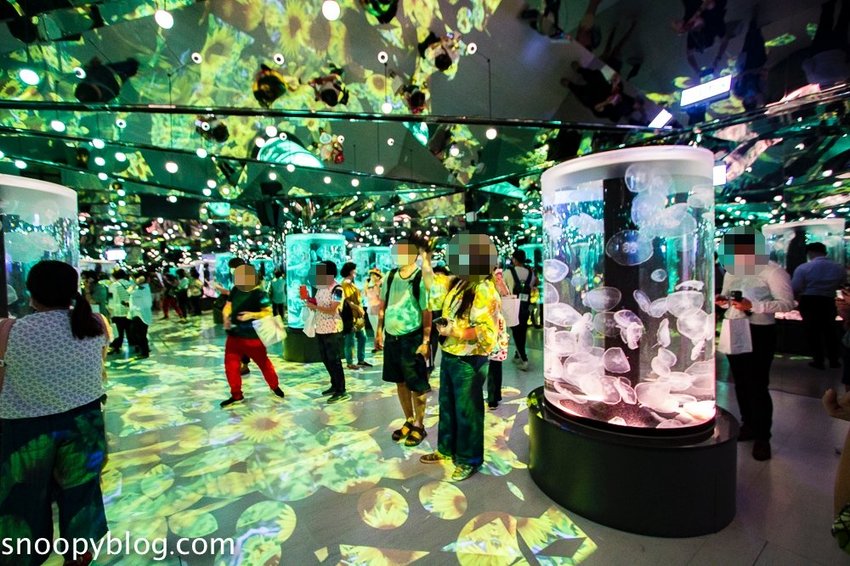 【桃園親子景點】Xpark水族館～現場購票、門票預購｜交通資訊，日本橫濱八景島水族館台來打造台灣首座新都會型水生公園、企鵝咖啡廳