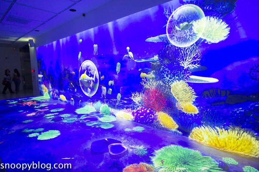 【桃園親子景點】Xpark水族館～現場購票、門票預購｜交通資訊，日本橫濱八景島水族館台來打造台灣首座新都會型水生公園、企鵝咖啡廳